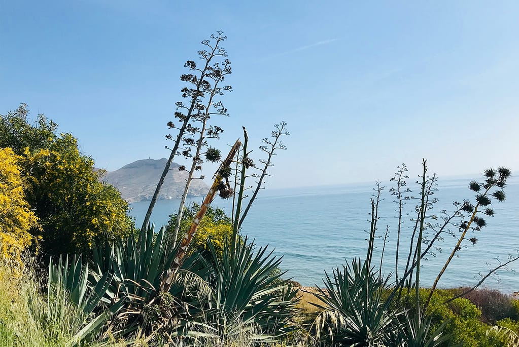 Costa de Cabo de Gata